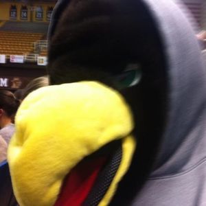 Meet your Posher, Joey